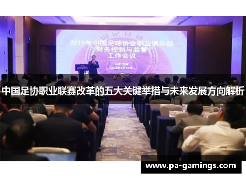 中国足协职业联赛改革的五大关键举措与未来发展方向解析