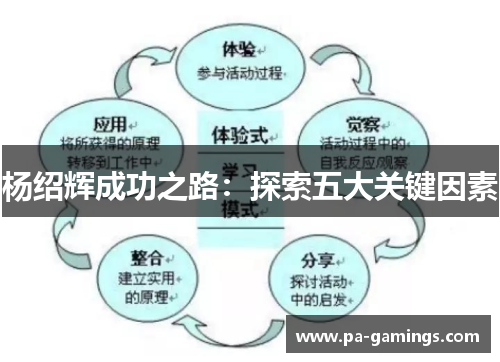 杨绍辉成功之路：探索五大关键因素