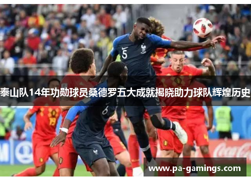 泰山队14年功勋球员桑德罗五大成就揭晓助力球队辉煌历史