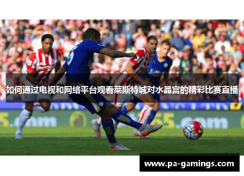 如何通过电视和网络平台观看莱斯特城对水晶宫的精彩比赛直播